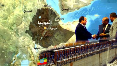 Photo of نحو استراتيجية مصرية تجاه إثيوبيا وسد النهضة