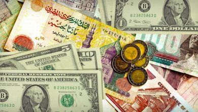 Photo of رفع الفائدة بمصر بين الدولرة والتضخم والركود
