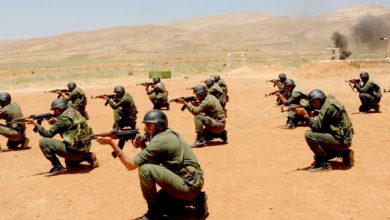 Photo of الأجندة التدريبية للجيش المصري