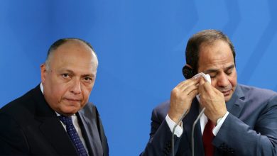 Photo of مصر 2017: أزمات السياسة الخارجية