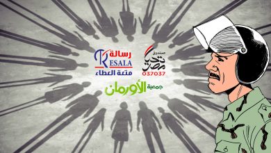 Photo of المجتمع المدني ودعم المؤسسات الحكومية في مصر بعد يوليو 2013