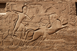 الجيش في مصر القديمة ودوره خلال الحرب والسلم-3