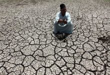 Photo of مصر: سياسات إفقار مزارعي القمح بعد 2013