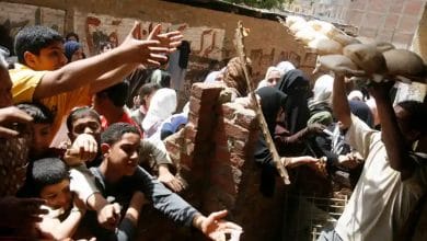 Photo of GPF: أزمة الغذاء في مصر ستدفع البلاد إلى حافة الهاوية