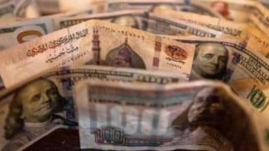 Photo of بلومبيرج: لا تزال مرونة العملة المصرية موضع شك رغم عمليات البيع الضخمة