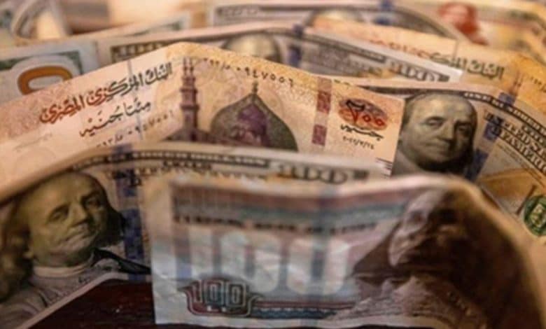 بلومبيرج: لا تزال مرونة العملة المصرية موضع شك رغم عمليات البيع الضخمة