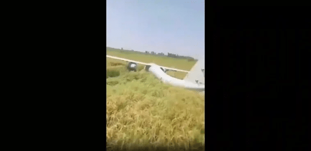 سقوط طائرة بدون طيار مصرية في محافظة الشرقية